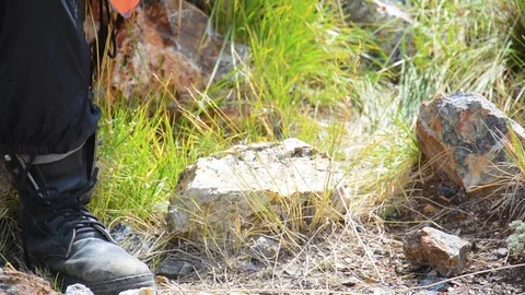 Hammering with a geologists hammer on stone Stock Footage 83499493