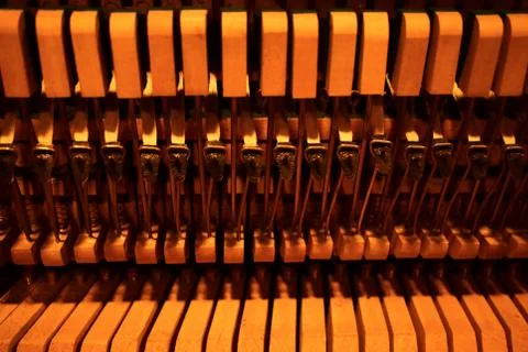 Hammers and strings inside piano. Stock Photos