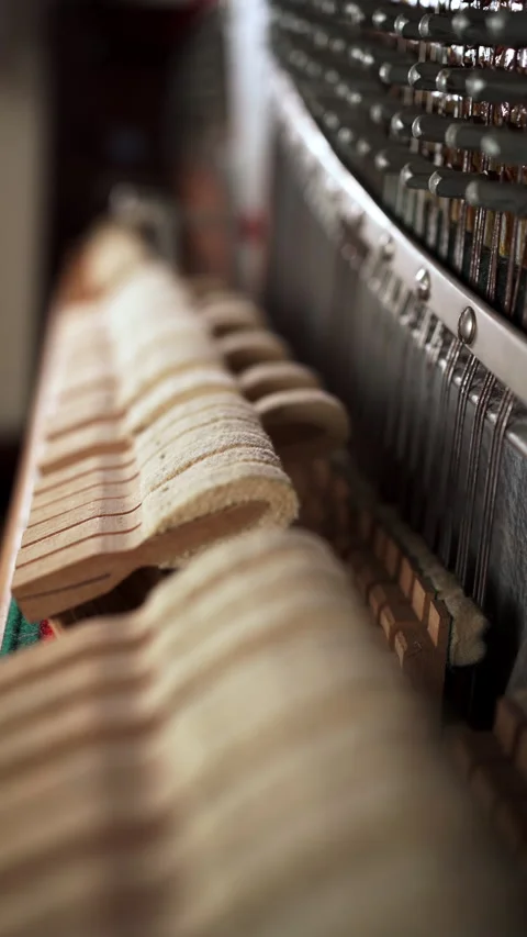 Hammers motion inside the piano. Close-up view of hammers and strings inside Stock Footage 269044529