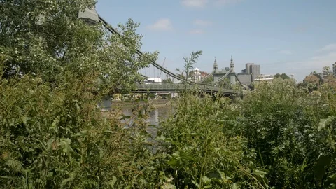 Hammersmith through the trees Stock Footage 91393772