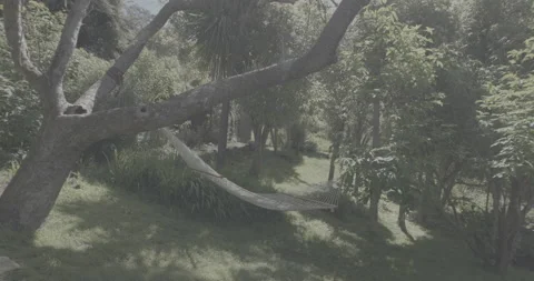 Hammock 1 스톡 동영상 237547701