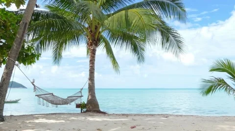 Hammock and palm trees on the beach Stock Footage