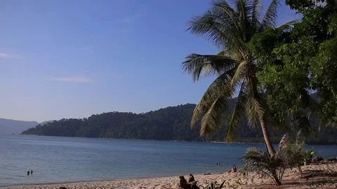 Hammock and palm trees on the beach in koh Lipe Island. Thailand. 動画素材 83213522