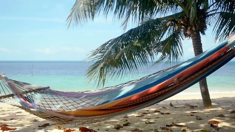 Hammock and palm trees on the beach. slow motion. 1920x1080 Stock Footage 88043889