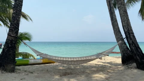 Hammock and palm trees on the beach. Stock Footage 197015938