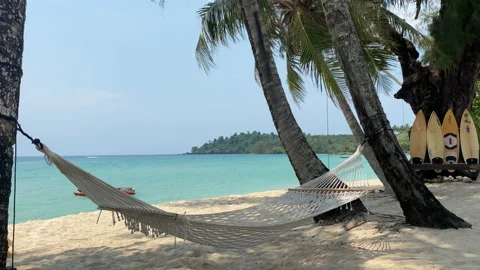 Hammock and palm trees on the beach. Stock Footage 197053779