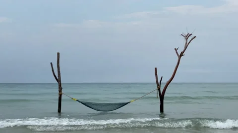 Hammock and palm trees on the beach. Stock Footage 197059692