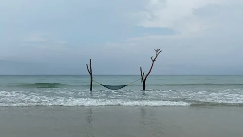 Hammock and palm trees on the beach. Stock Footage 197059961