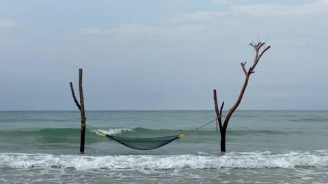 Hammock and palm trees on the beach. 動画素材 197060001