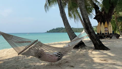 Hammock and palm trees on the beach. 動画素材 197060198