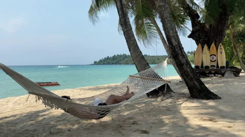 Hammock and palm trees on the beach. Stock Footage 197060245