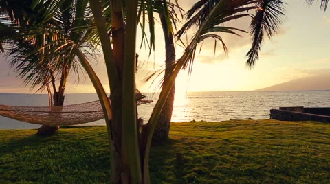 Hammock and Palm Trees at Sunset. Stock Footage 54712508