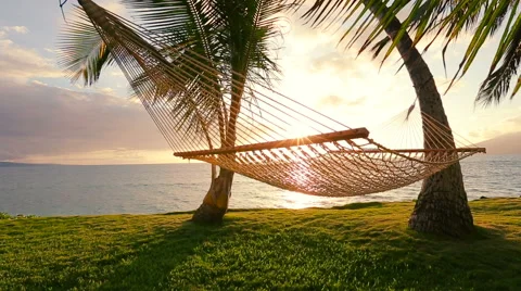 Hammock and Palm Trees at Sunset. Stock Footage 54712680