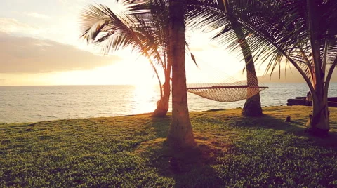 Hammock and Palm Trees at Sunset. Instagram Color Tone. Video stock 54712778