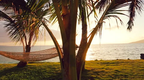 Hammock and Palm Trees at Sunset Gorgeous Sun Flares. Stock Footage 54712874