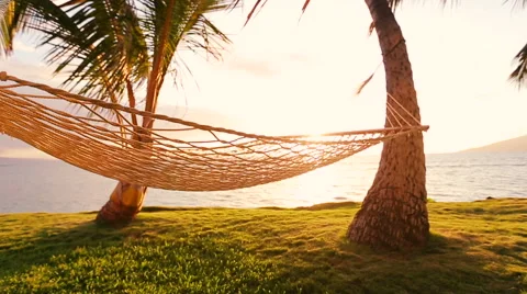 Hammock and Palm Trees at Sunset Beautiful Sun Flare Stock Footage 54712919