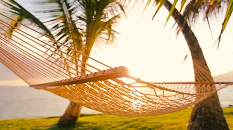 Hammock and Palm Trees at Sunset Beautiful Sun Flares Stock Footage 54712947
