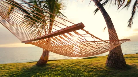Hammock and Palm Trees at Sunset Beautiful Sun Flares Stock Footage 54713058