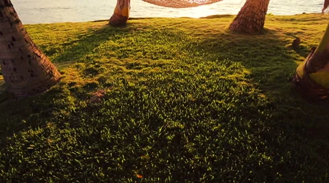 Hammock and Palm Trees at Sunset. Stock Footage 54713105