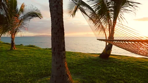 Hammock and Palm Trees at Sunset. Stock Footage 54713156