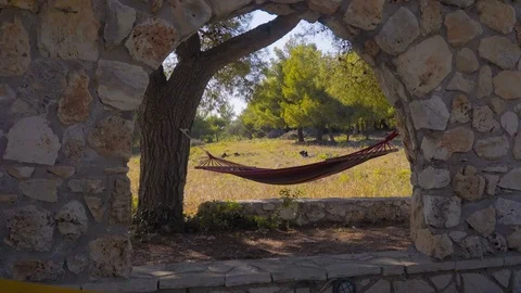 Hammock and pine trees on the old fashioned building Stock Footage 77264270