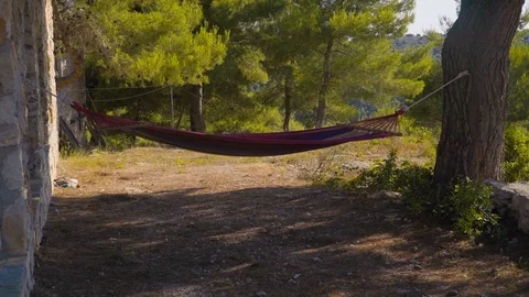 Hammock and pine trees on the old fashioned building Video stock 77265071