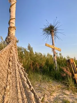 Hammock and Seaside Seating with Bottle Palm for a Sunset View Stock Photos
