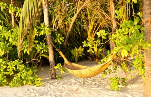 Hammock and sunset Stock Photos