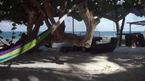 Hammock on the beach Stock Footage 47784641