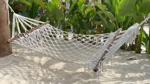 Hammock on the beach. Stock Footage 150431974