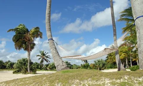 Hammock on the beach Stock Photos