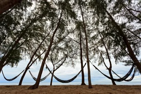 Hammock on beach Stock Photos