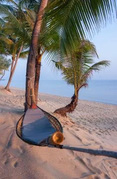 Hammock at the beach. Stock Photos