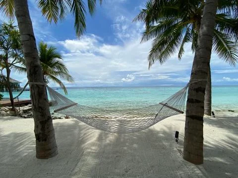 Hammock by the beach Stock Photos