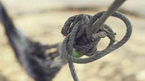 Hammock on Beach Rope Close Up Stock Footage 66294205