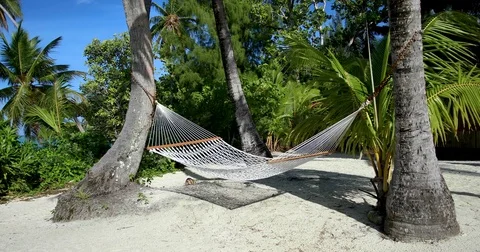 Hammock on a beach in tahiti, polynesia Video stock 78724140