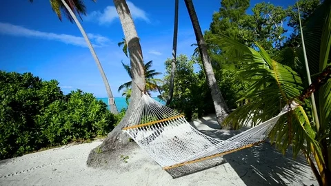 Hammock on a beach in tahiti, polynesia Stock Footage 81222888