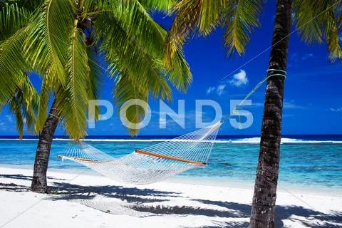 Hammock between palm trees on tropical beach Stock Photos