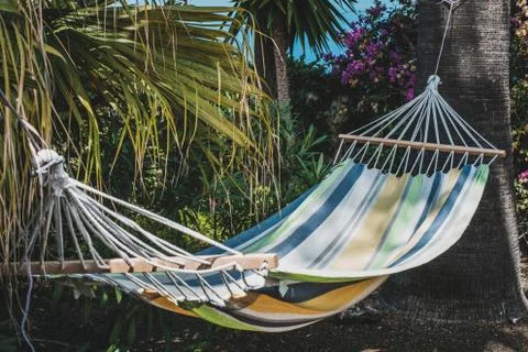 Hammock between palm trees - vacation concept - Stock Photos