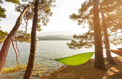 Hammock between pine trees in scenic bay (Osor) on the island of Losinj Stock Photos
