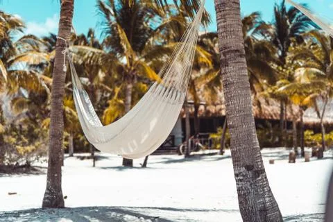 Hammock between to trees Stock Photos