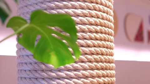 A hammock between two columns at a tropical resort durning sunrise Stock Footage 316239725