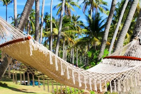 Hammock between two palm trees on the beach Foto stock