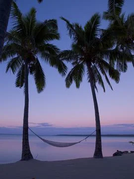 HAMMOCK BETWEEN TWO PALM TREES ON THE BEACH Stock Photos