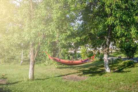 Hammock between two tree in a Garden. 스톡 사진