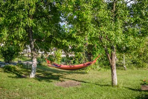 Hammock between two tree in a Garden. Stock Photos