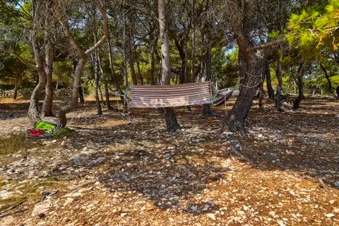 Hammock between two trees Stock Photos