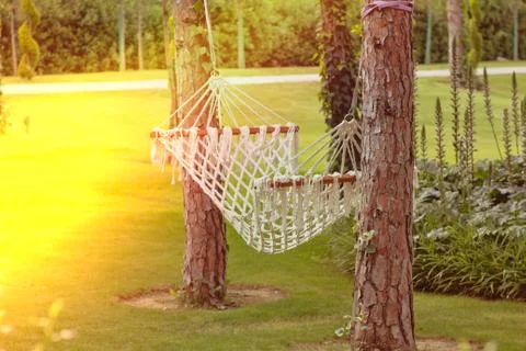 A hammock between two trees in a summer garden at sunset Stock Photos
