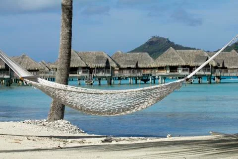 Hammock in bora bora Stock Photos