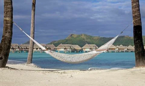 Hammock in bora bora Stock Photos